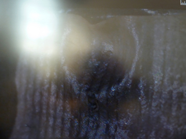 ars_jalila-essaidi_2-6g329m7s_006_0