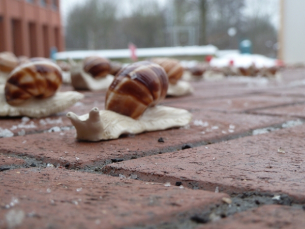 dasa_langbein_schneckeninvasion_05