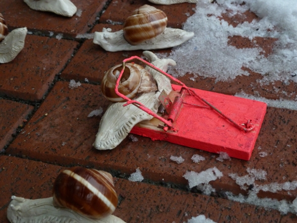 dasa_szenografie_langbein_schneckeninvasion