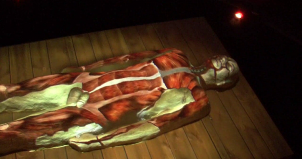 vesalius-revisited_philipp-sterckx_anathomisches-theater_007