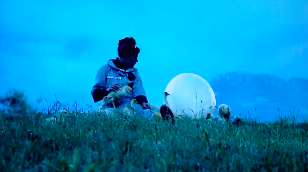 goose-project01