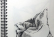 Kissen2