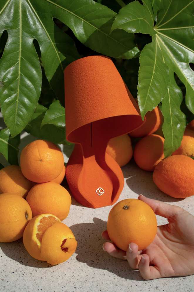 Ohmie eine 3D gedruckte Lampe aus Orangenschalen